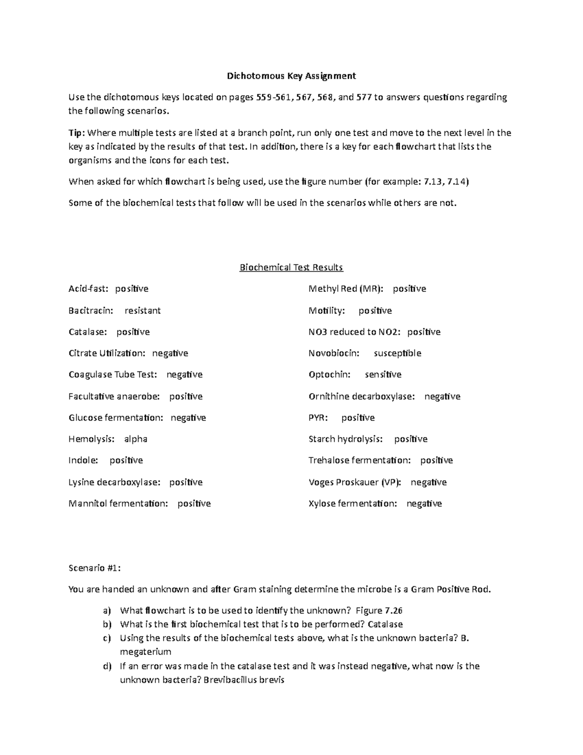 Dichotomous key worksheet leaves picture