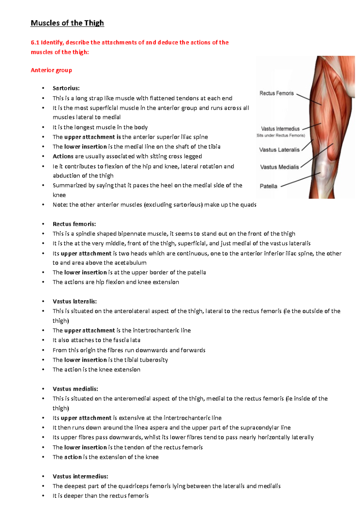 Lower limb anatomy - ... - Muscles of the Thigh 6 Identify, describe ...