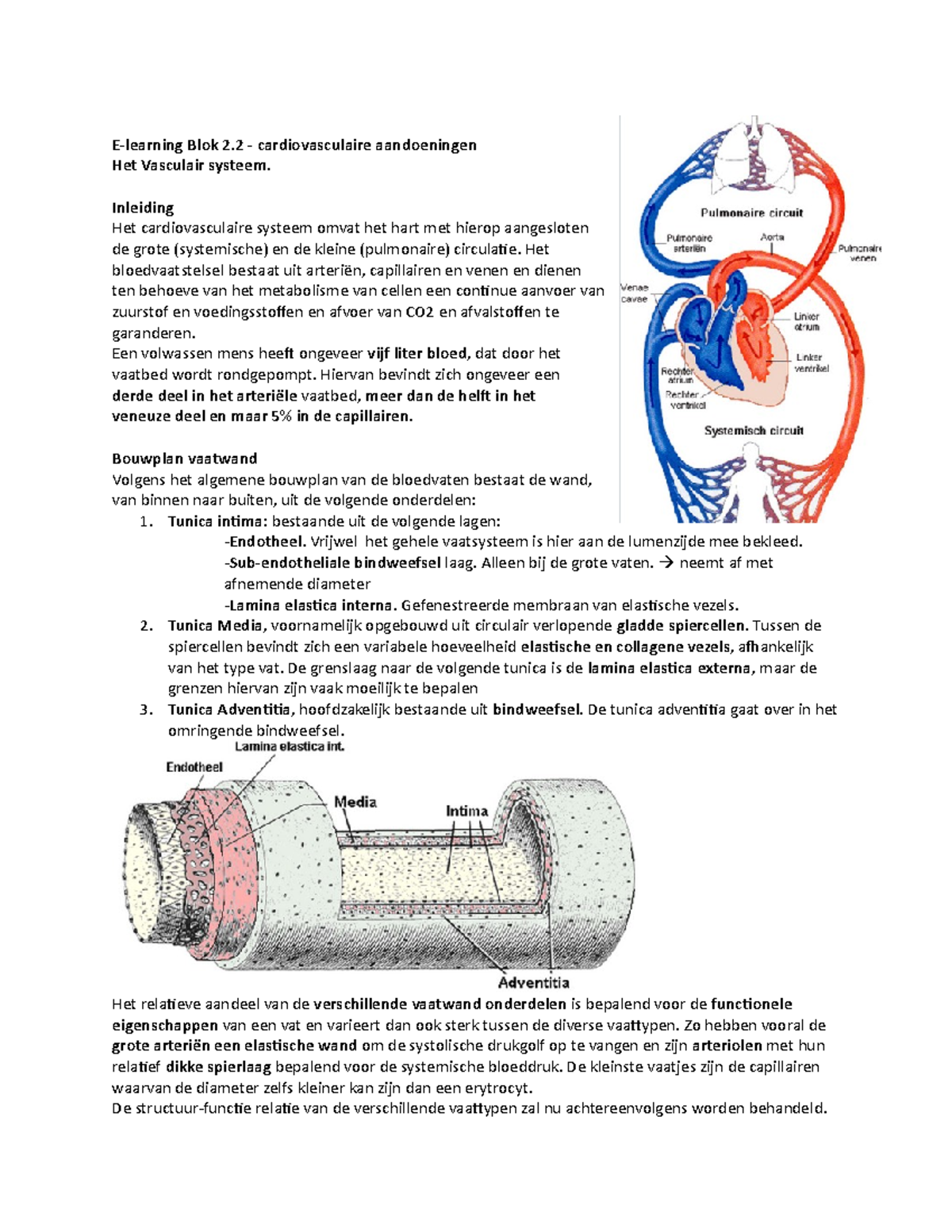 Samenvatting - E-learning; Vasculair Systeem - E-learning Blok 2 ...