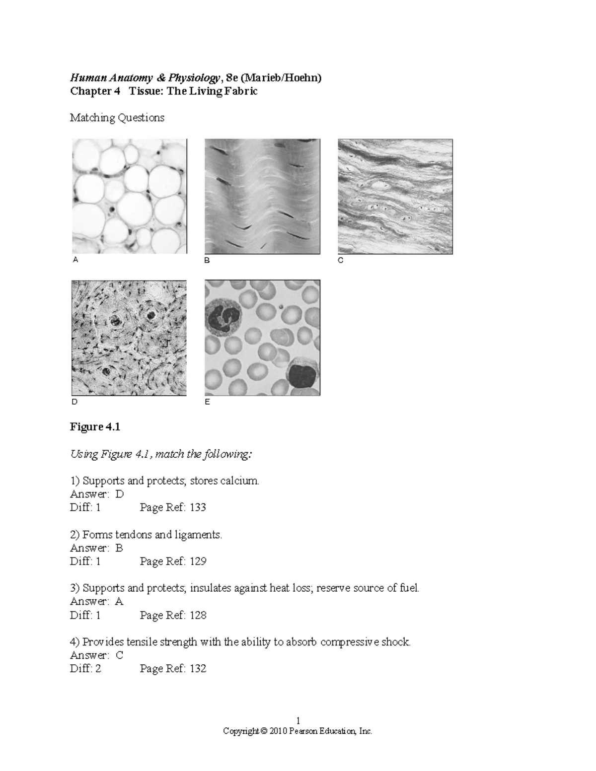 Ch04 Test Bank - Test 1 - Human Anatomy & Physiology, 8e (Marieb/Hoehn ...