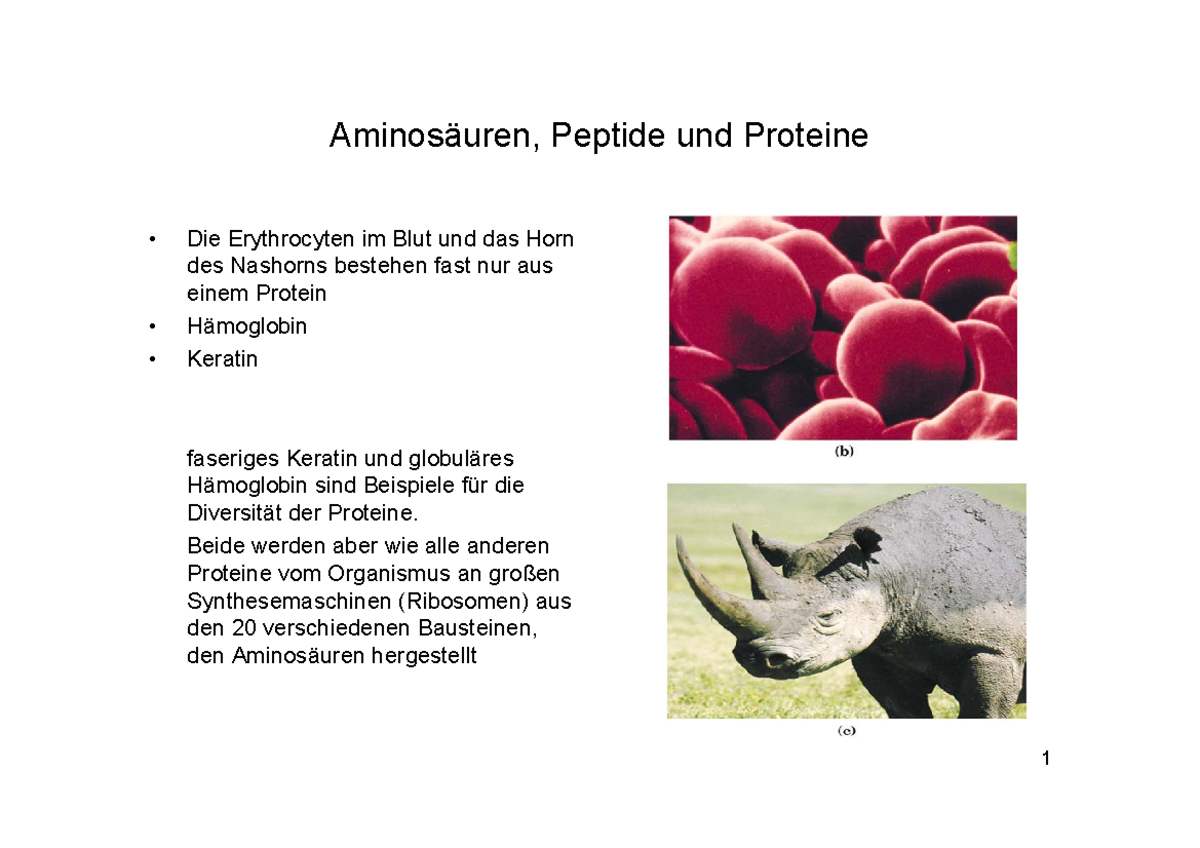 Z2Vorlesung II-V5 - Biochemie Folien - Peptide Und Proteine Die ...