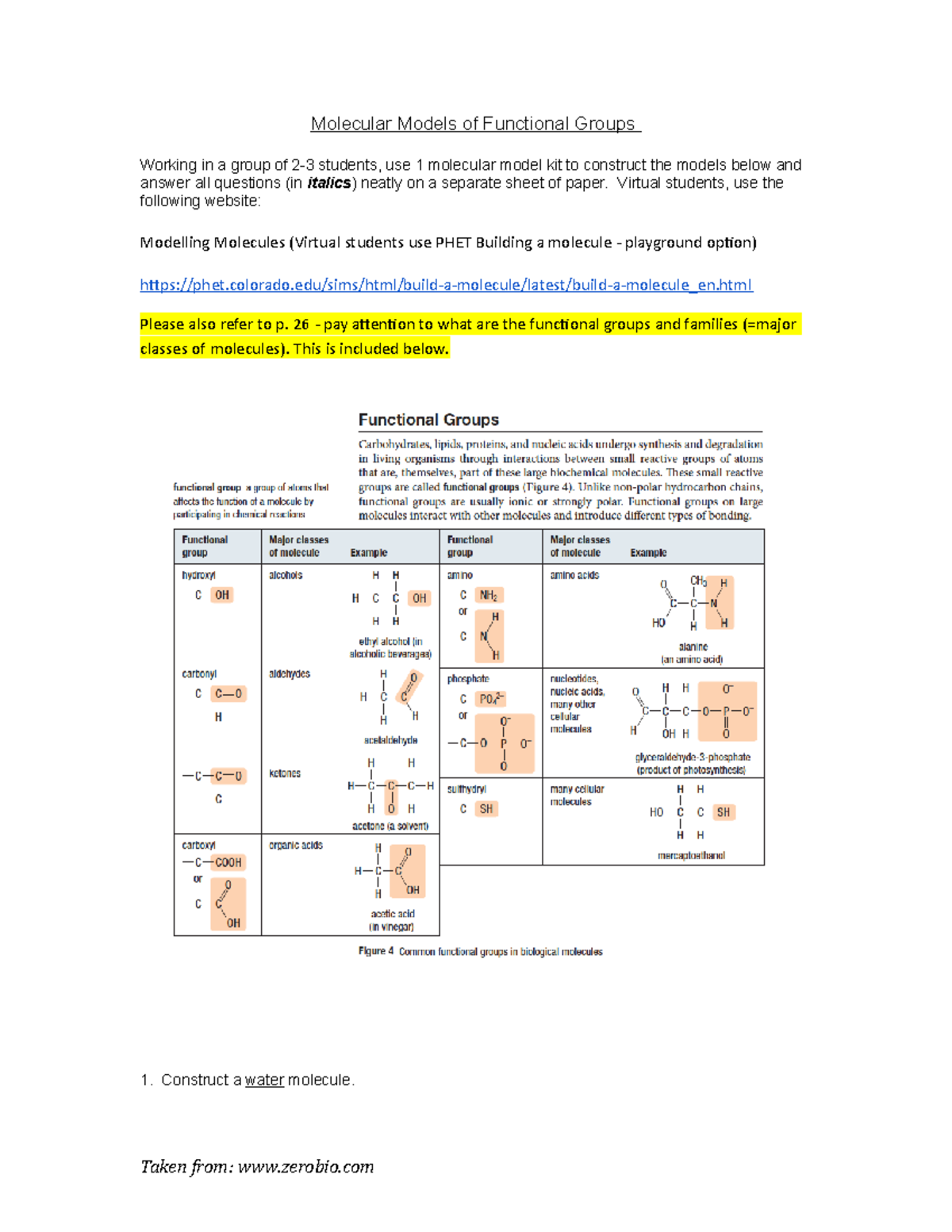Molecular Models of Functional Groups Questions only - Molecular Models ...