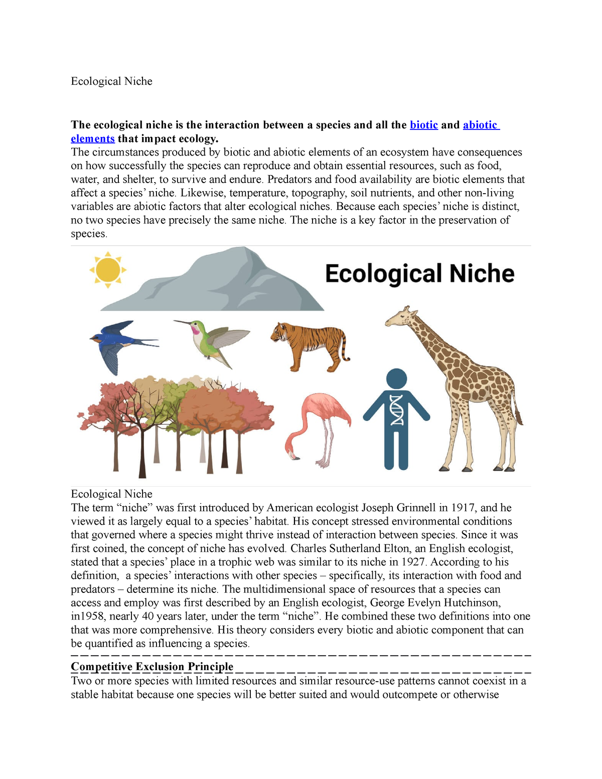 write an essay on ecological niche