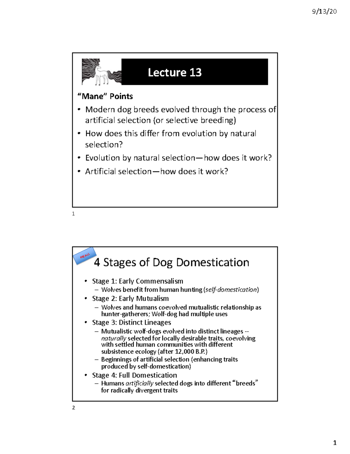 Lecture 13 natural artificial selection - Lecture 13 “Mane” Points ...