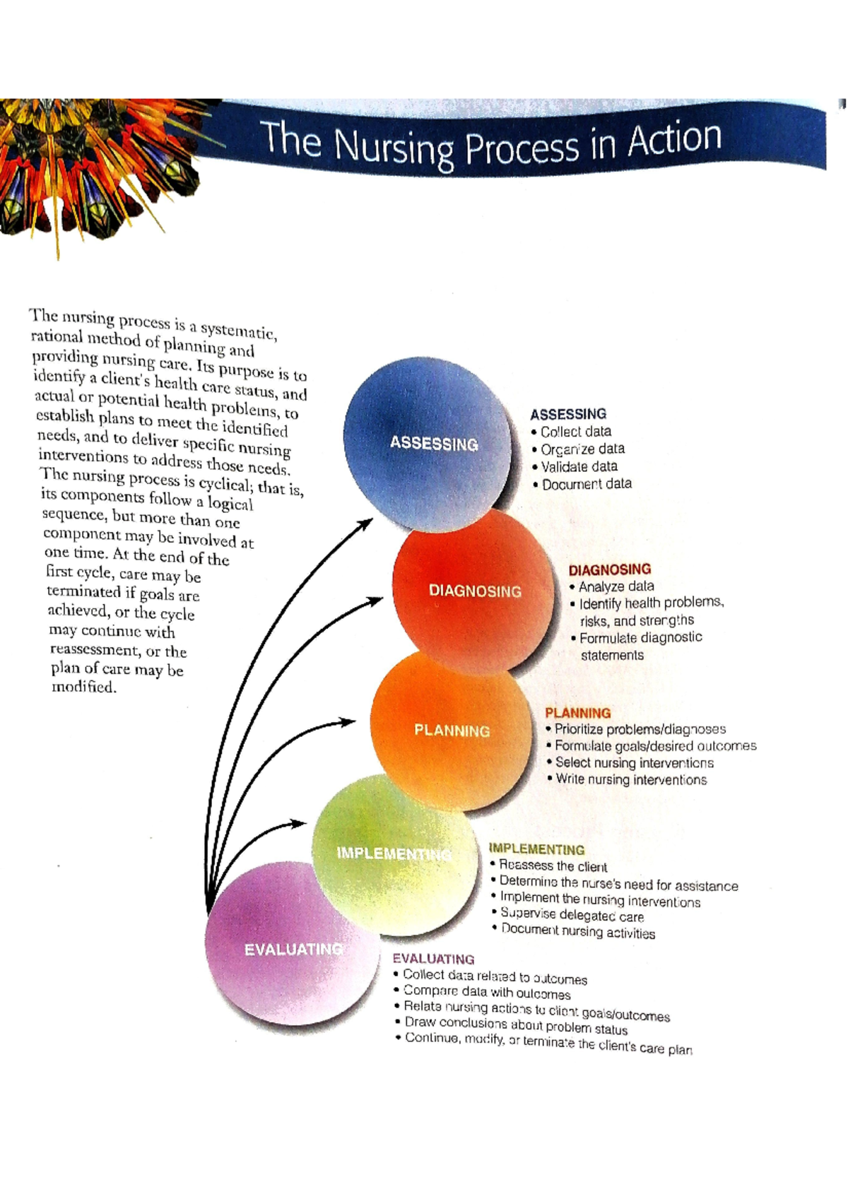 Nursing Process - Bsc Nursing - StuDocu