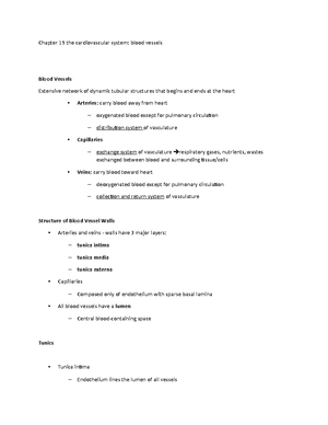 Chapter 19 blood vessels - Resistance - Blood vessel diameter is most ...