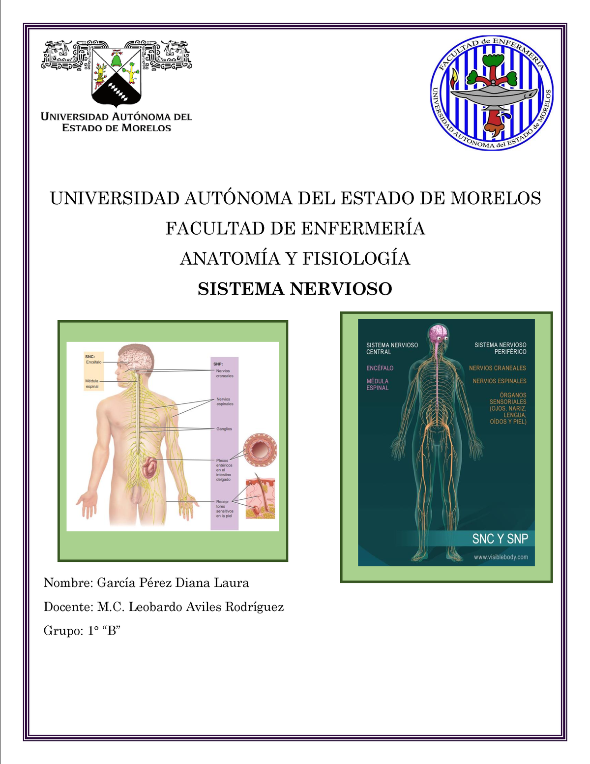 Act V Sistema Nervioso - Principios De Anatomía Y Fisiología, 13va ...