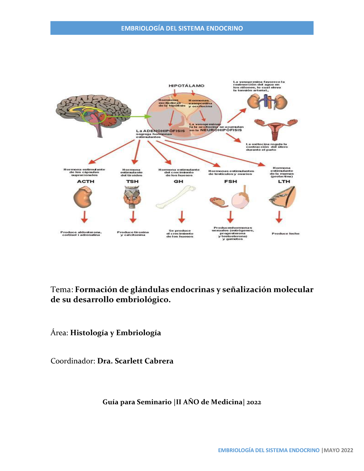 Guía embriología Sistema endocrino Tema Formación de glándulas endocrinas y señalización