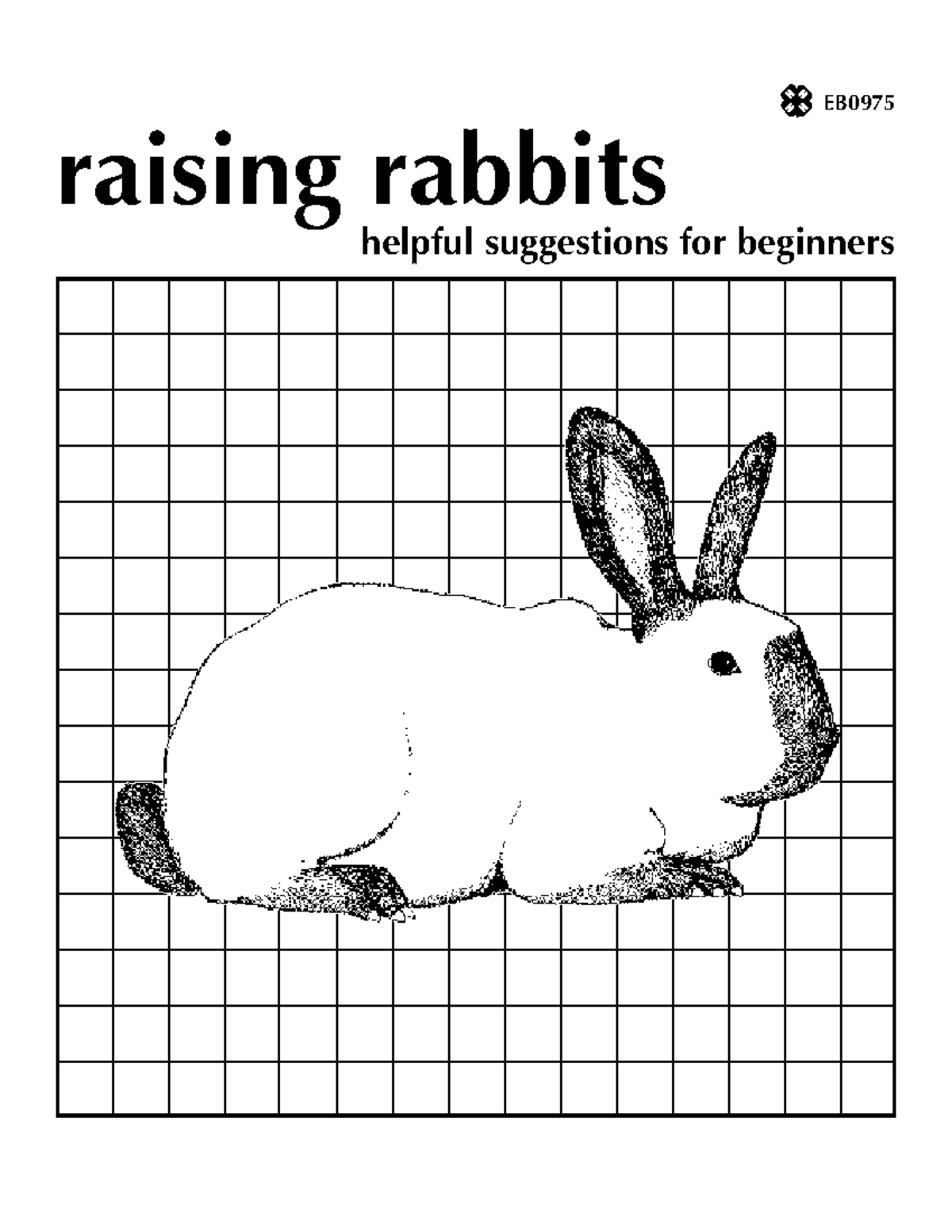 =+ Raising rabbits for beginners-1 - helpful suggestions for beginners ...