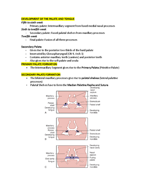 Oral Histology And Embryology Tooth Development And Their Stages - ORAL ...
