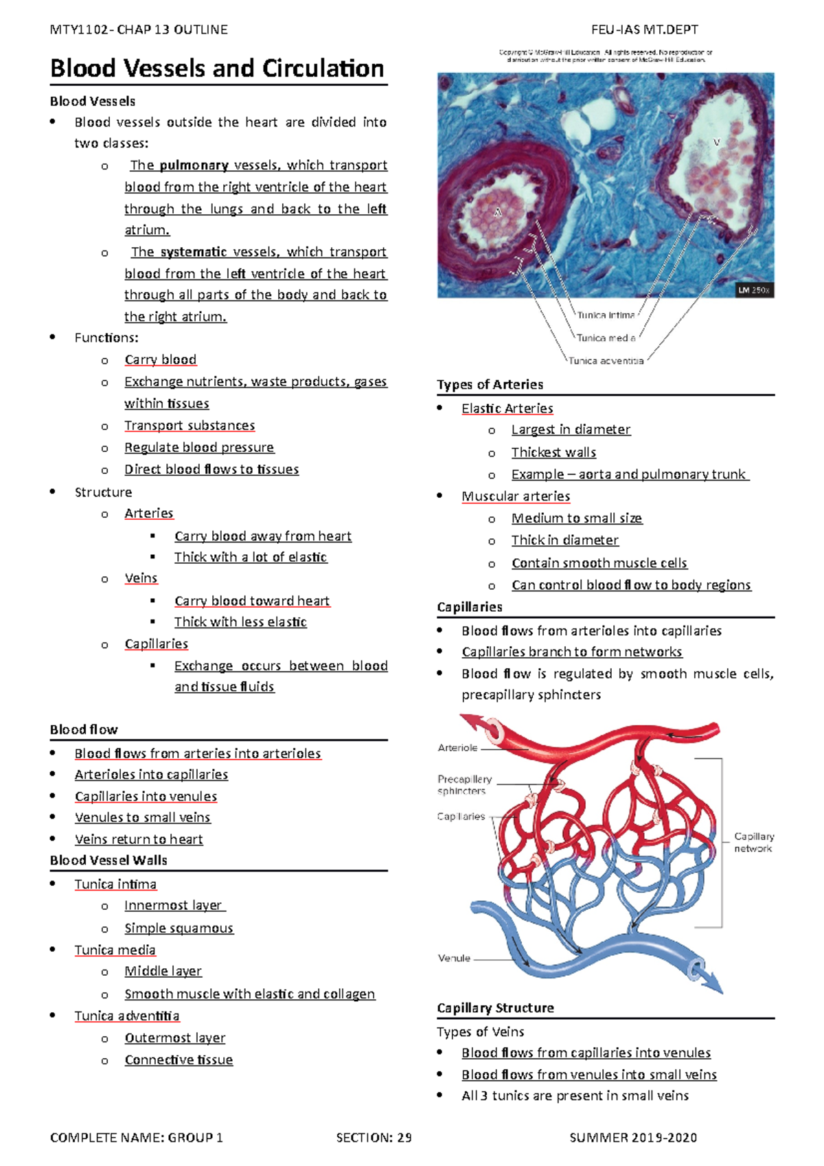 Chapter 13 Blood Vessels and Circulation - Blood Vessels and ...