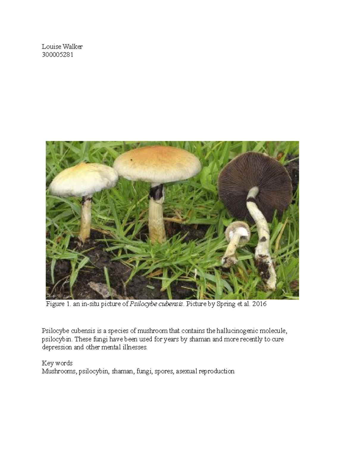 Plant paper - Biodiversity report - Louise Walker 300005281 Psilocybe ...