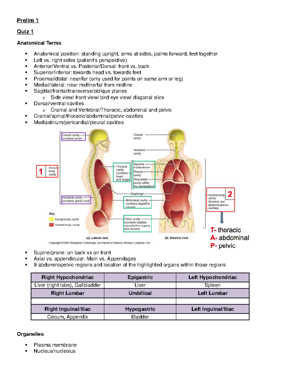 Lecture notes, lectures 1-53 - Prelim 1 Quiz 1 Anatomical Terms ...