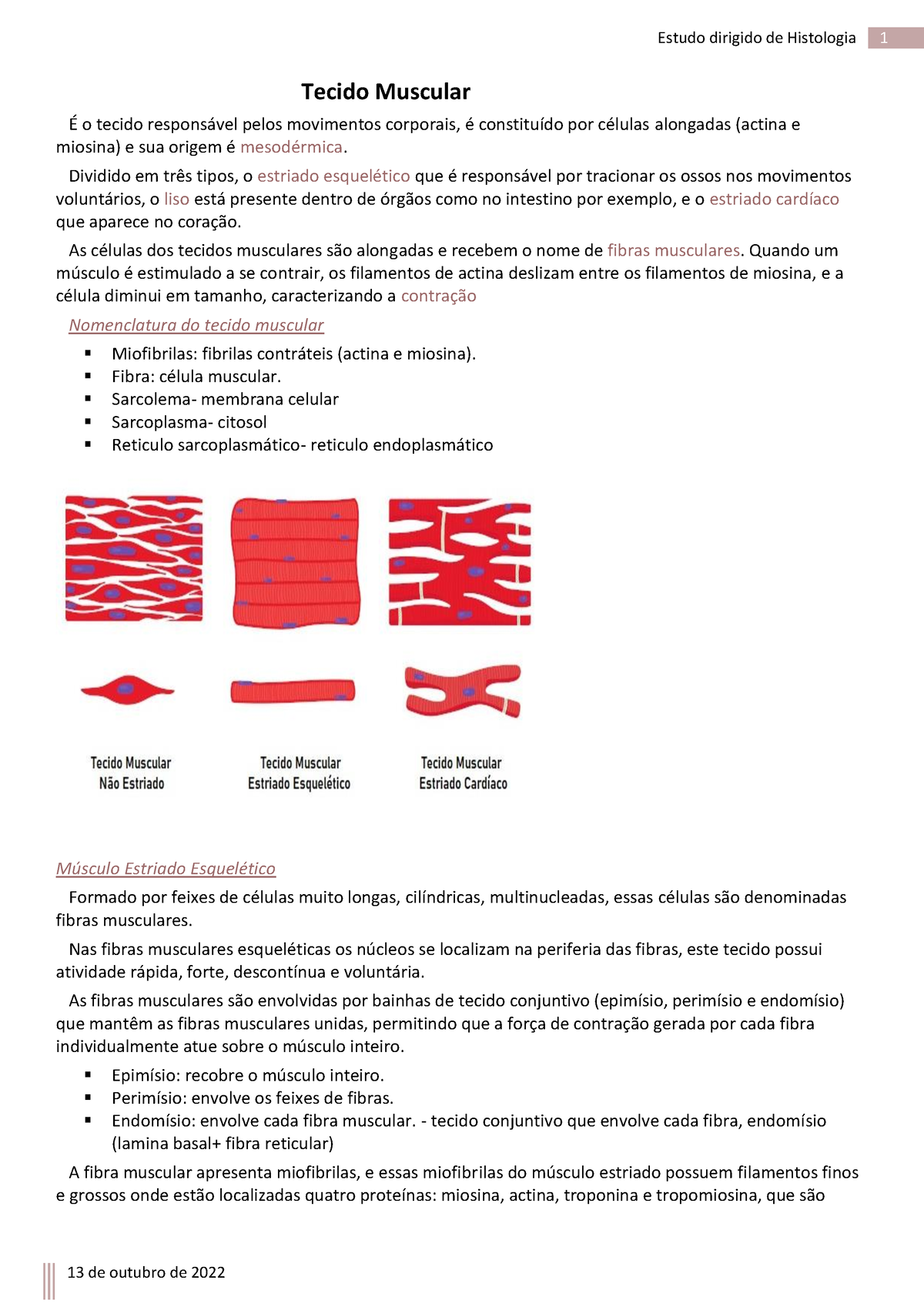 Tecido Muscular Resumo Tecido Muscular O Tecido Respons Vel Pelos Movimentos Corporais