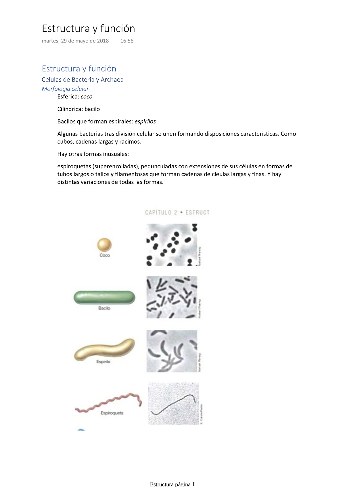 Resumen Fisiologia Bacteriana - Estructura Y Martes, 29 De Mayo De 2018 ...