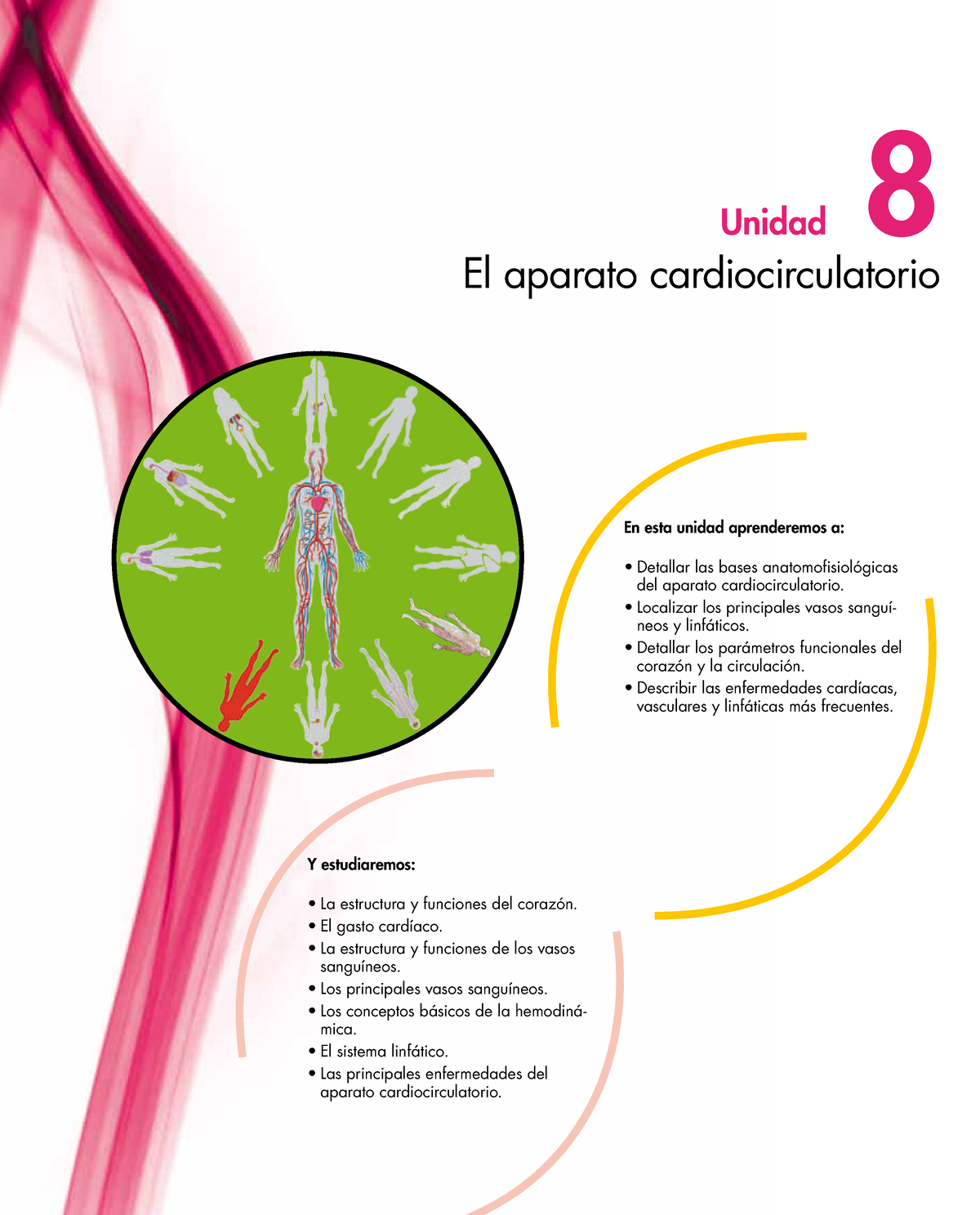 Aparato Circulatorio Y Su Comprencion General 8 En Esta Unidad Aprenderemos A • Detallar Las 9617