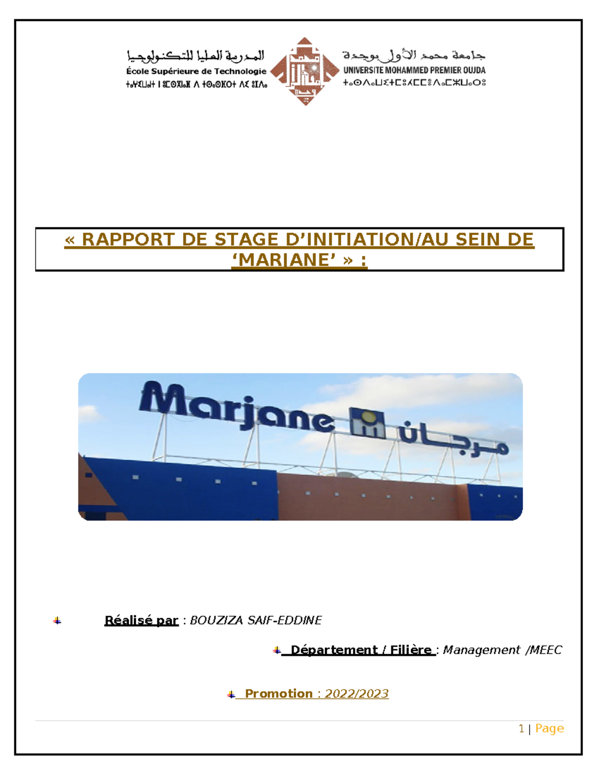 Rapport DE Stage D - hbvhbj - ####### « RAPPORT DE STAGE D’INITIATION ...