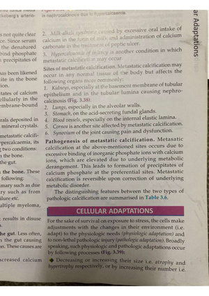 Cell Injury And Application - Pathophysiology - Studocu