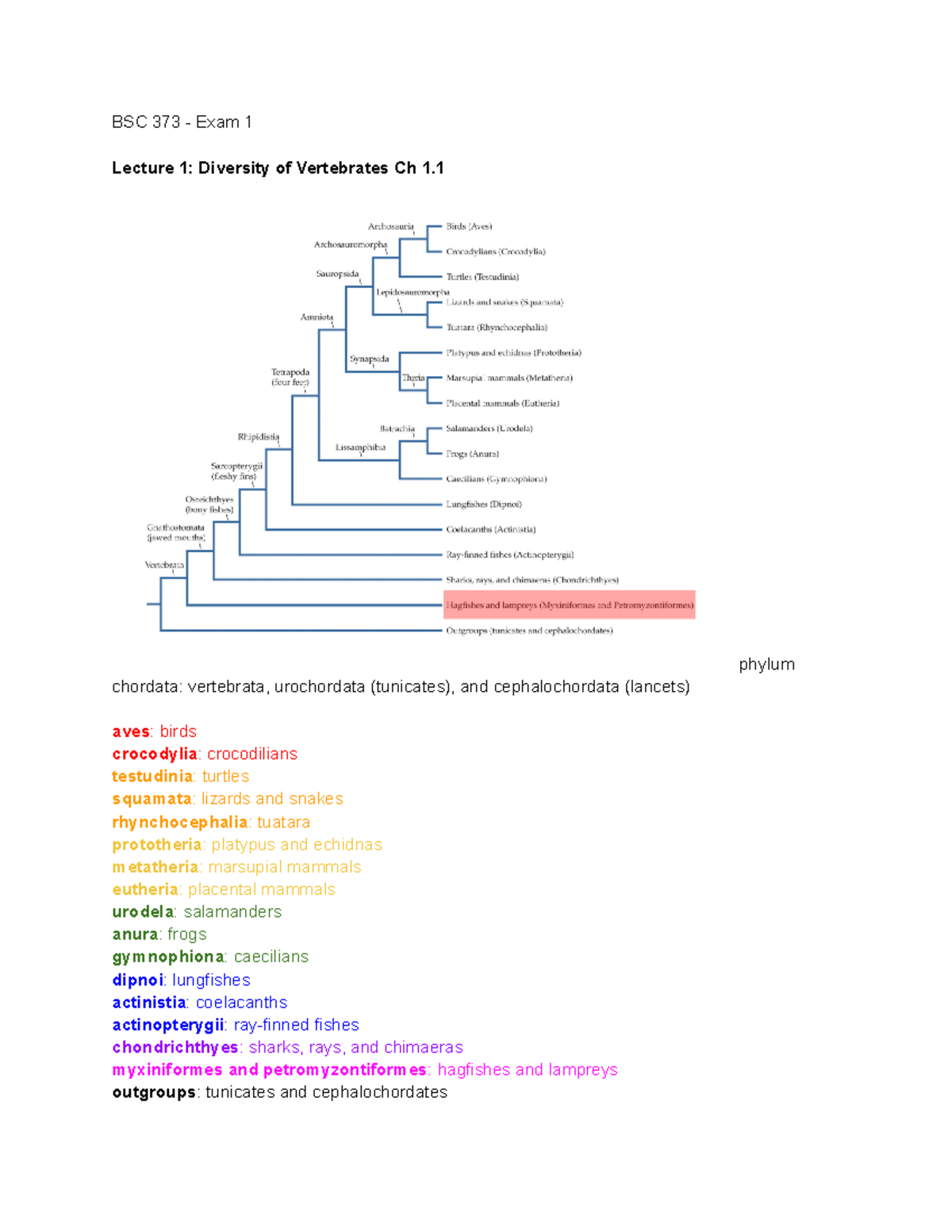 A treatise on zoology . »L ^f. Ym. IV. 1.—Cucumaria pentactes (Linn.),  opened along the right of the median dorsal line ; theright respiratory  tree has been cut short. 2.—Spicule ; 3.—Oral