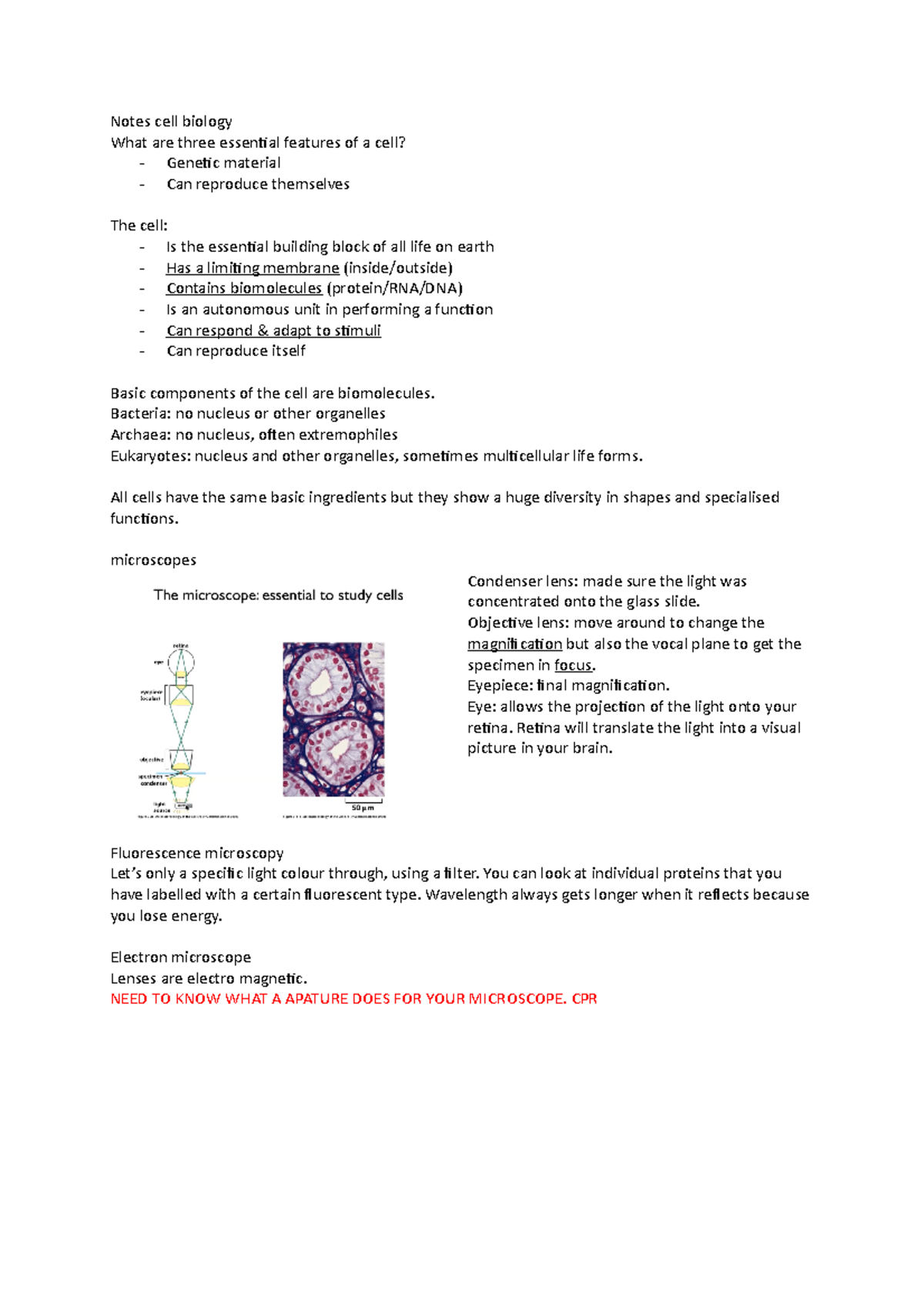 Notes Cell Biology Notes Cell Biology What Are Three Essential Features Of A Cell Genetic