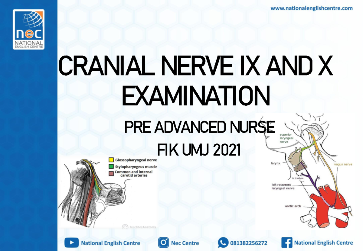 -8 Cranial Nerve IX AND X - CRANIAL NERVE IX AND X EXAMINATION PRE ...