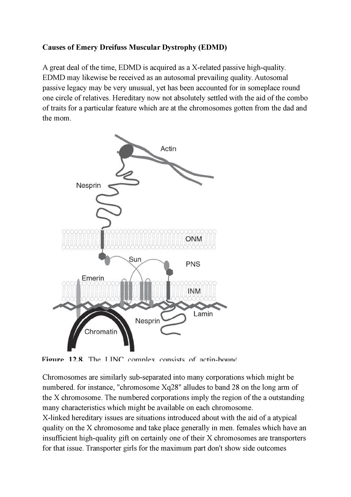 Treatment Of Emery Dreifuss Muscular Dystrophy Edmd Causes Of Emery Dreifuss Muscular 2752