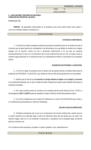 MODELO DE ESCRITO DE LAS PARTES EN EL QUE SE CONFORMAN CON LA SENTENCIA ...