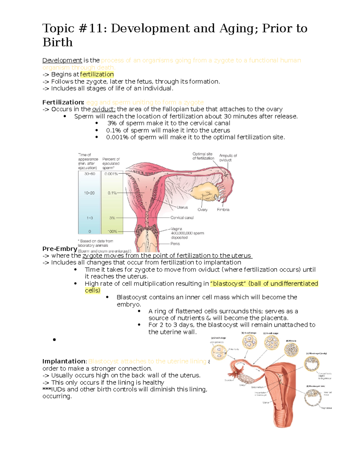 Topic #11- Development and Aging; Prior to Birth - Birth Development is ...