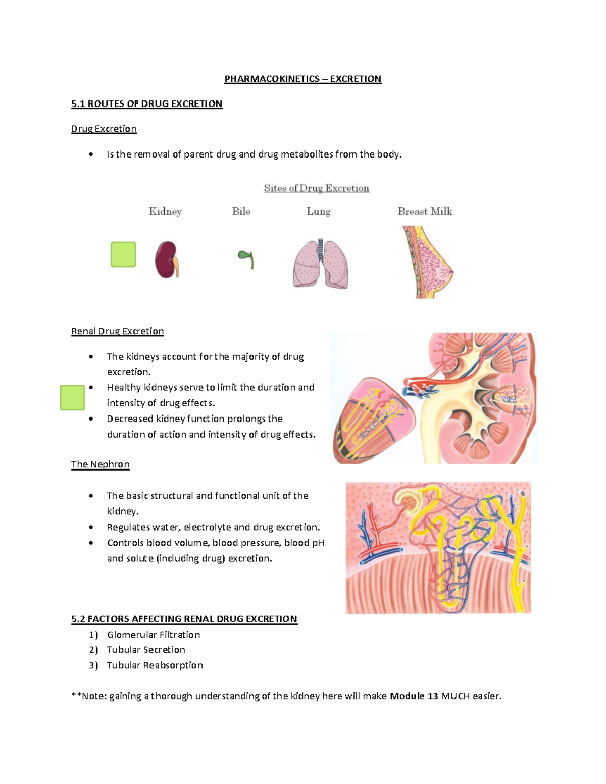Module 5 Edited Notes - Warning: Popup annotation has a missing or ...