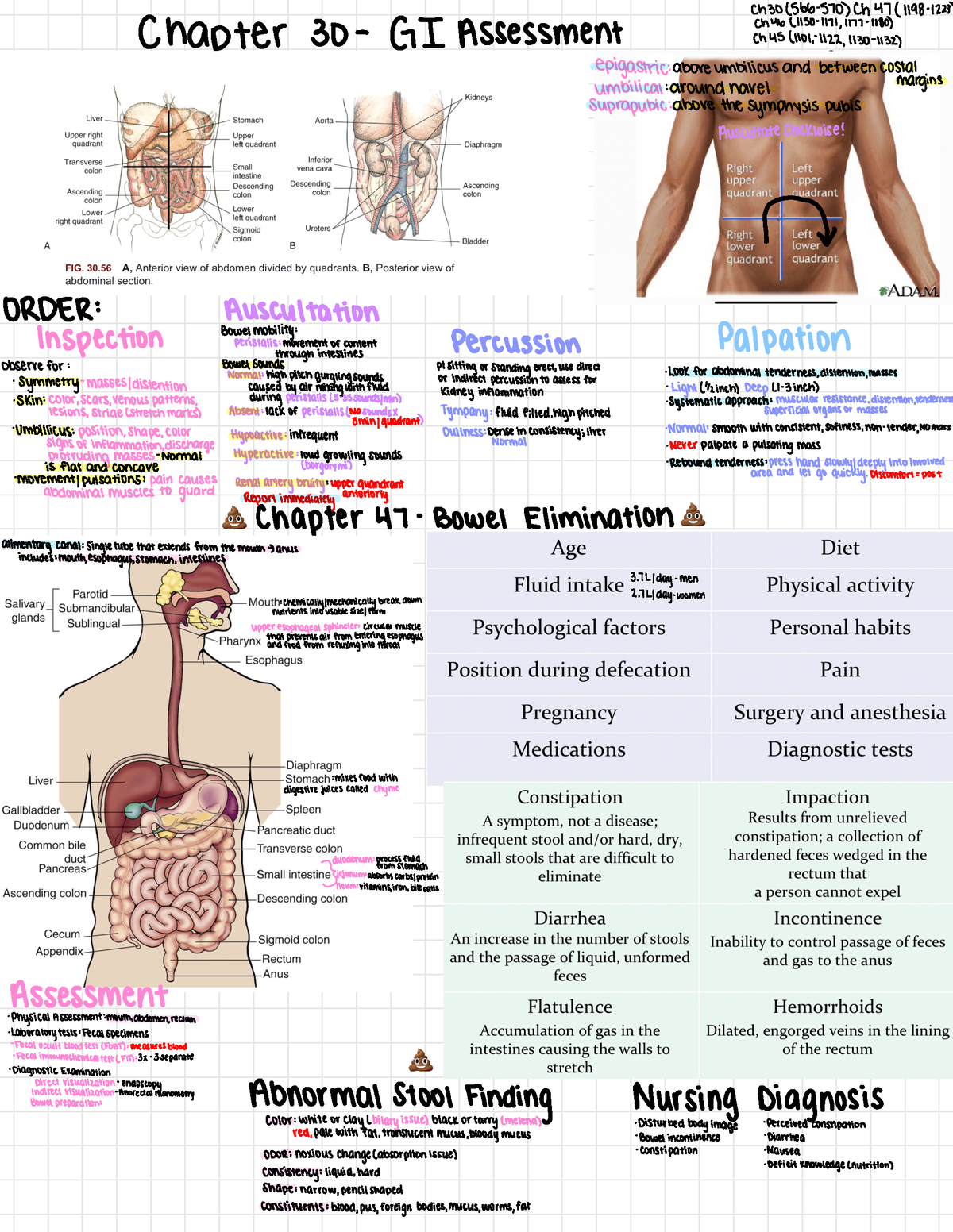 GI assessment nur 204 - 💩 💩 Ch301566-570)Ch47(1198- 