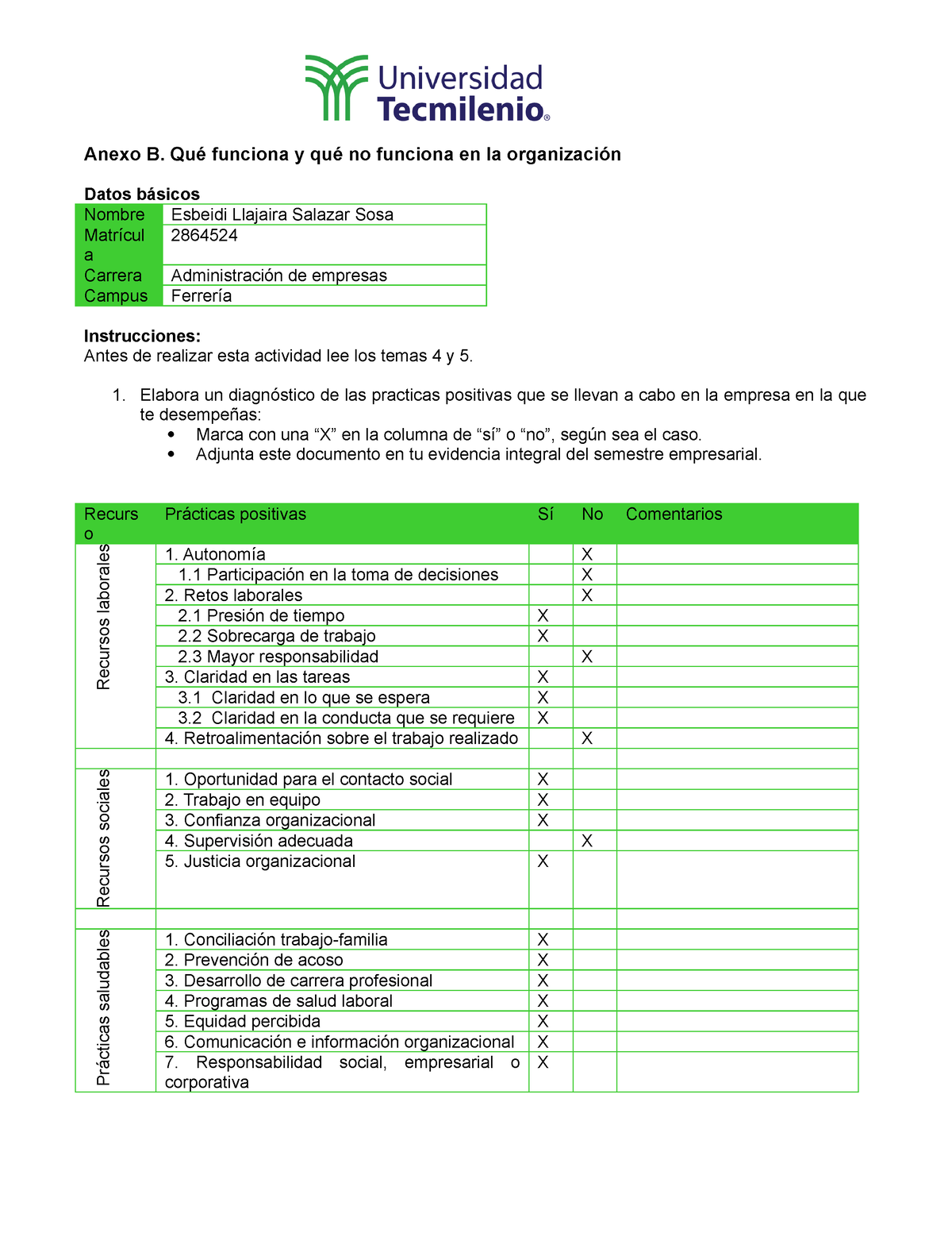 Anexo B. Que Funciona Y Que No Funciona En La Organizacion - Anexo B ...