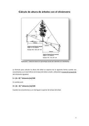 Clinómetro - calculo pendiente - Warning: TT: undefined function: 32 1  Cálculo de altura de árboles - Studocu