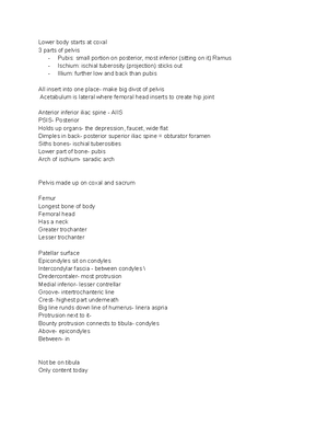 Anatomy notes - Kinesiology- study of motion or human movement Movement ...