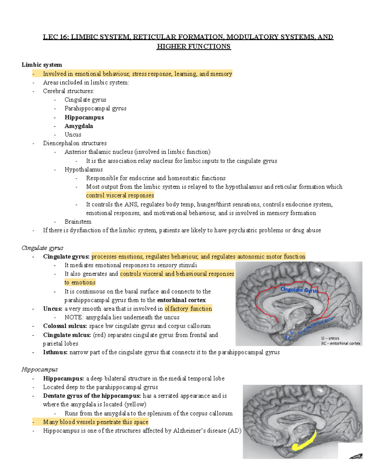 LEC 16 Limbic System, Reticular Formation, Modultaory Systems, AND ...