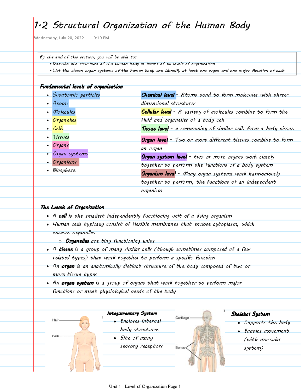 1.2 Structural Organization of the Human Body – Anatomy & Physiology