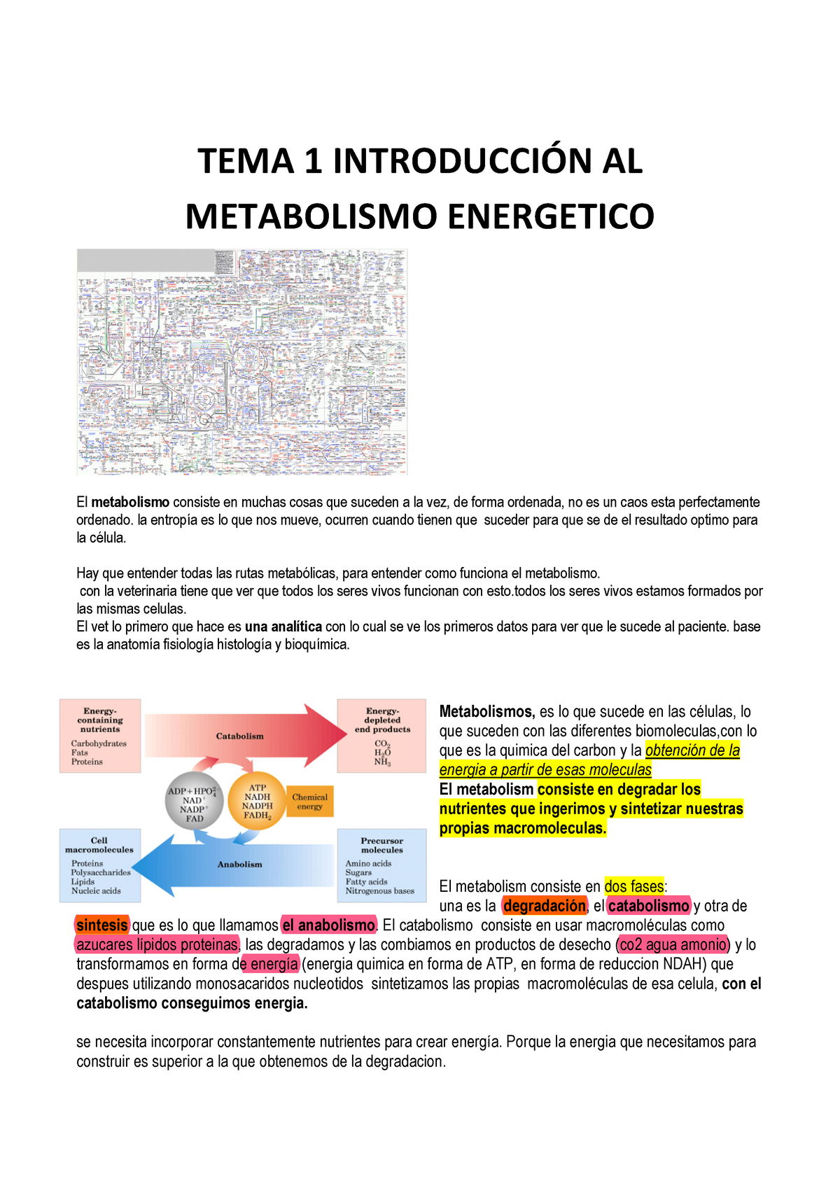 TEMA 1 - TEMA 1 AL METABOLISMO ENERGETICO El Metabolismo Consiste En ...