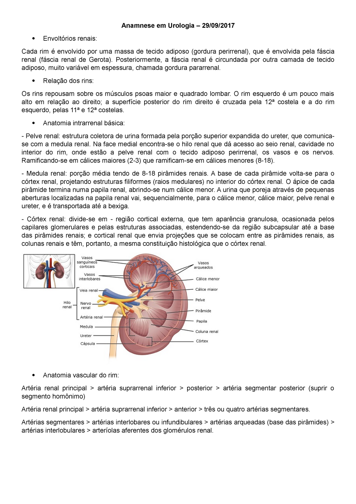 a estrutura do hilo renal