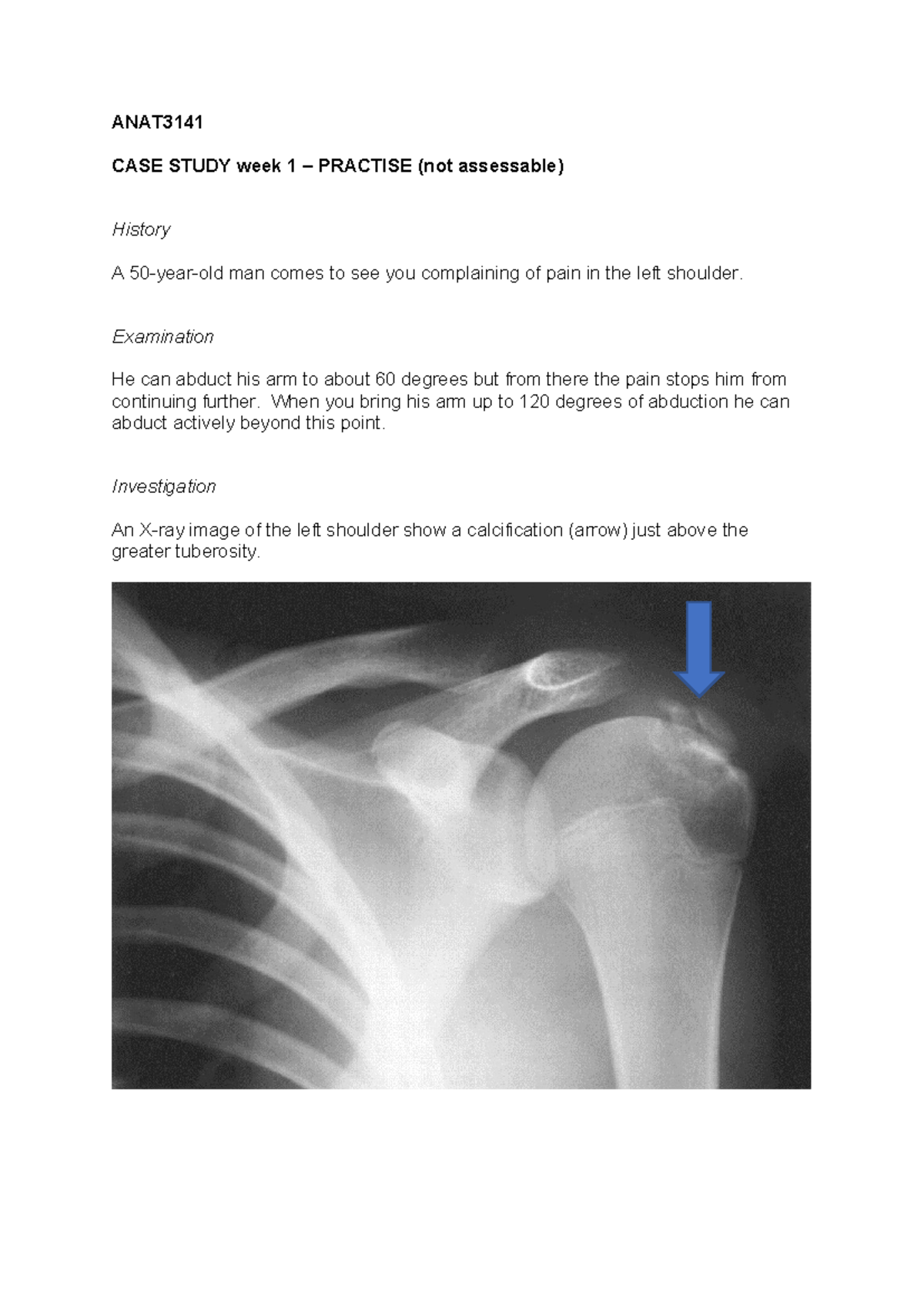 Case Study week 1 - ANAT3141 - ANAT CASE STUDY week 1 – PRACTISE (not ...