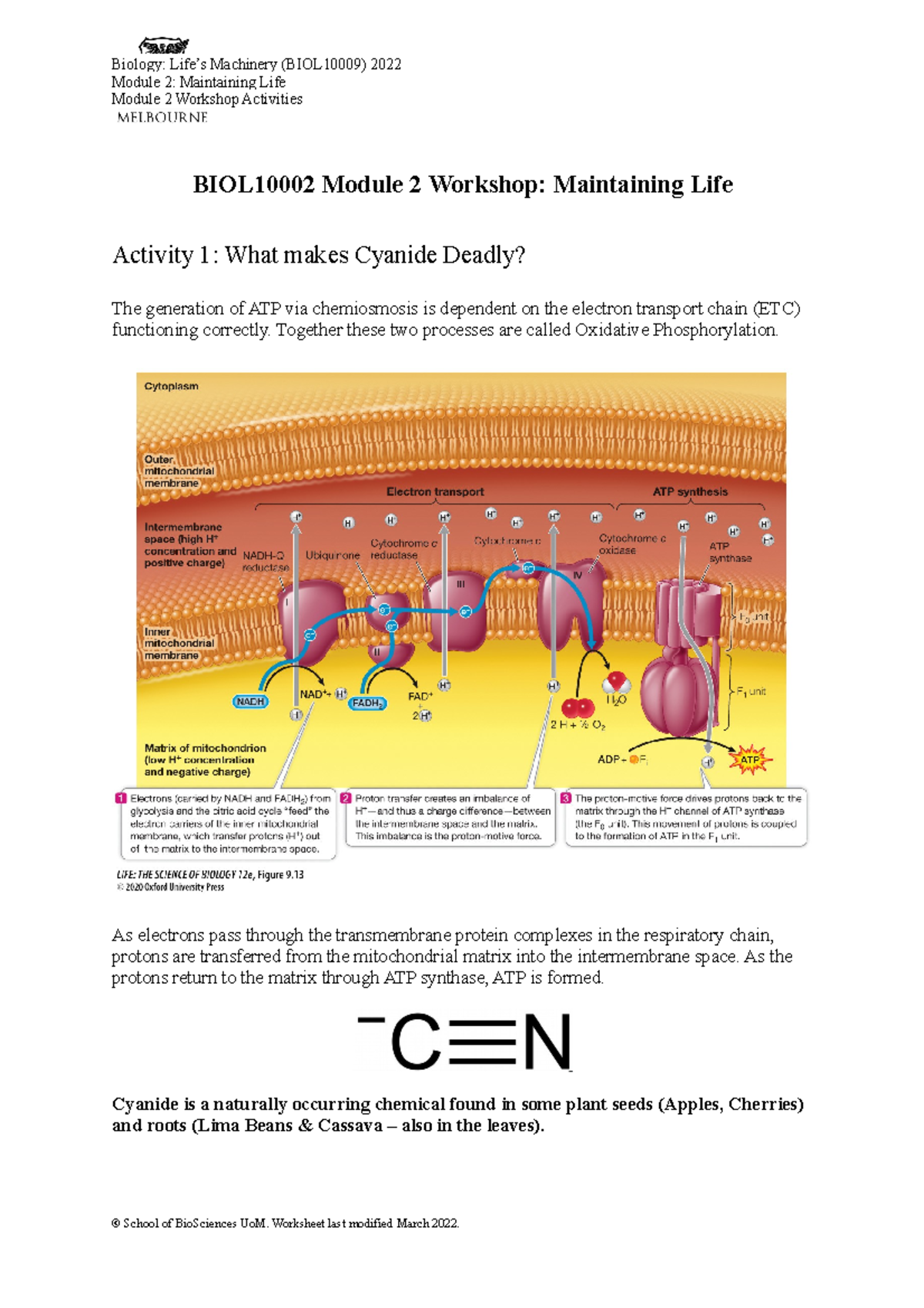 BIOL10009 M2 Workshop Activities - Module 2: Maintaining Life Module 2 ...