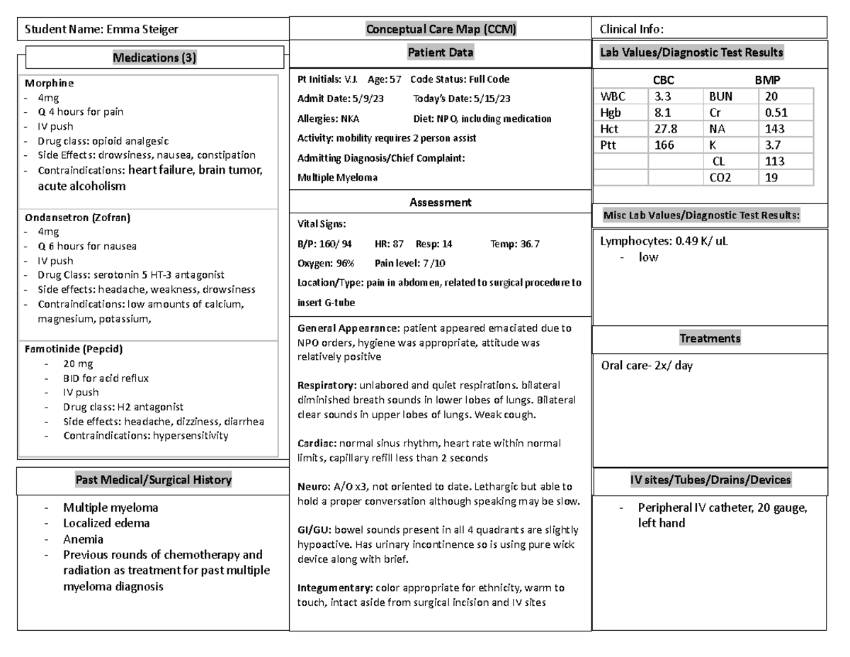 Clinical 1 Conceptual Care Map - Morphine - 4mg - Q 4 hours for pain ...