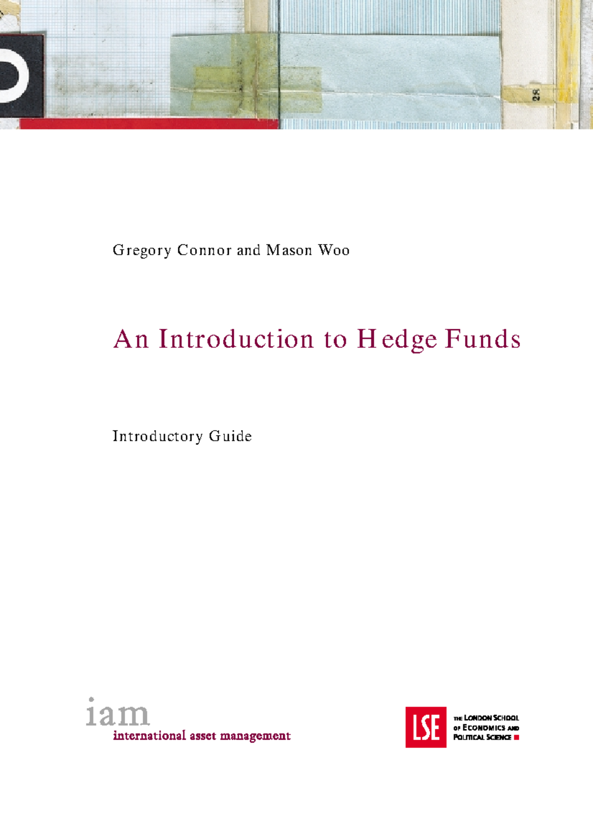 Hedge fund - An Introduction to Hedge Funds Introductory Guide Gregory ...