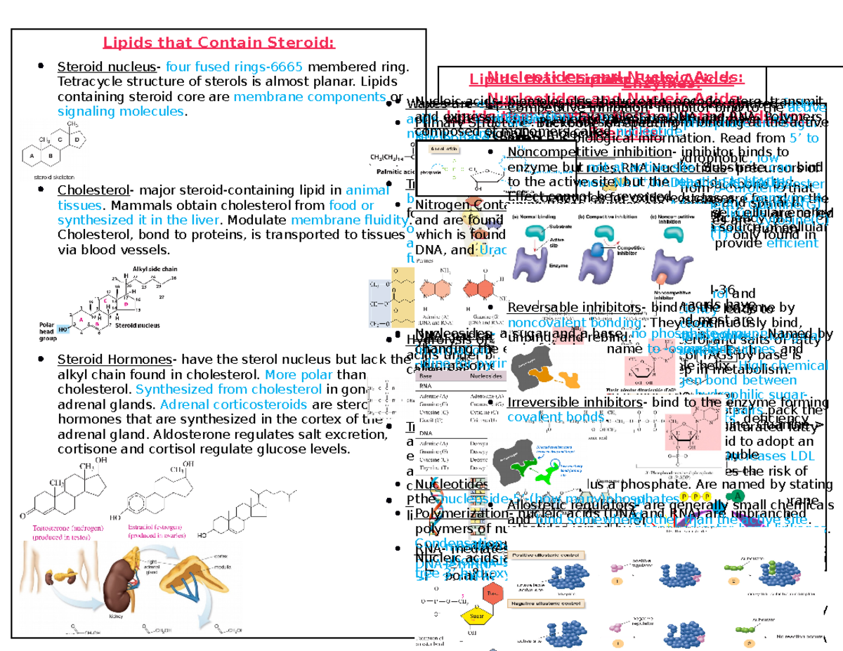 Study guide Lipids that Contain Neither Fatty Acids nor Steroids Fat