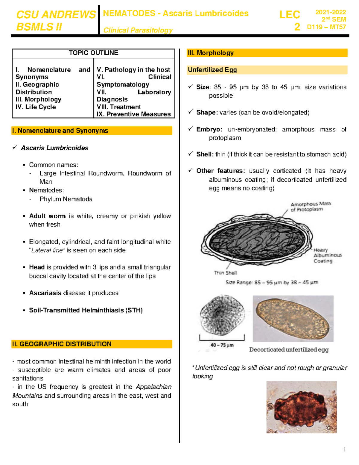 PARA LEC 2 - goodluck - CSU ANDREWS BSMLS II NEMATODES - Ascaris ...