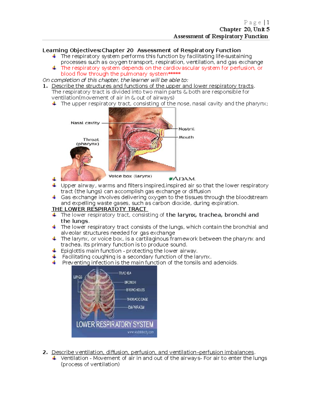 Respiratory Assessement Chapter 20 - Chapter 20, Unit 5 Assessment Of ...