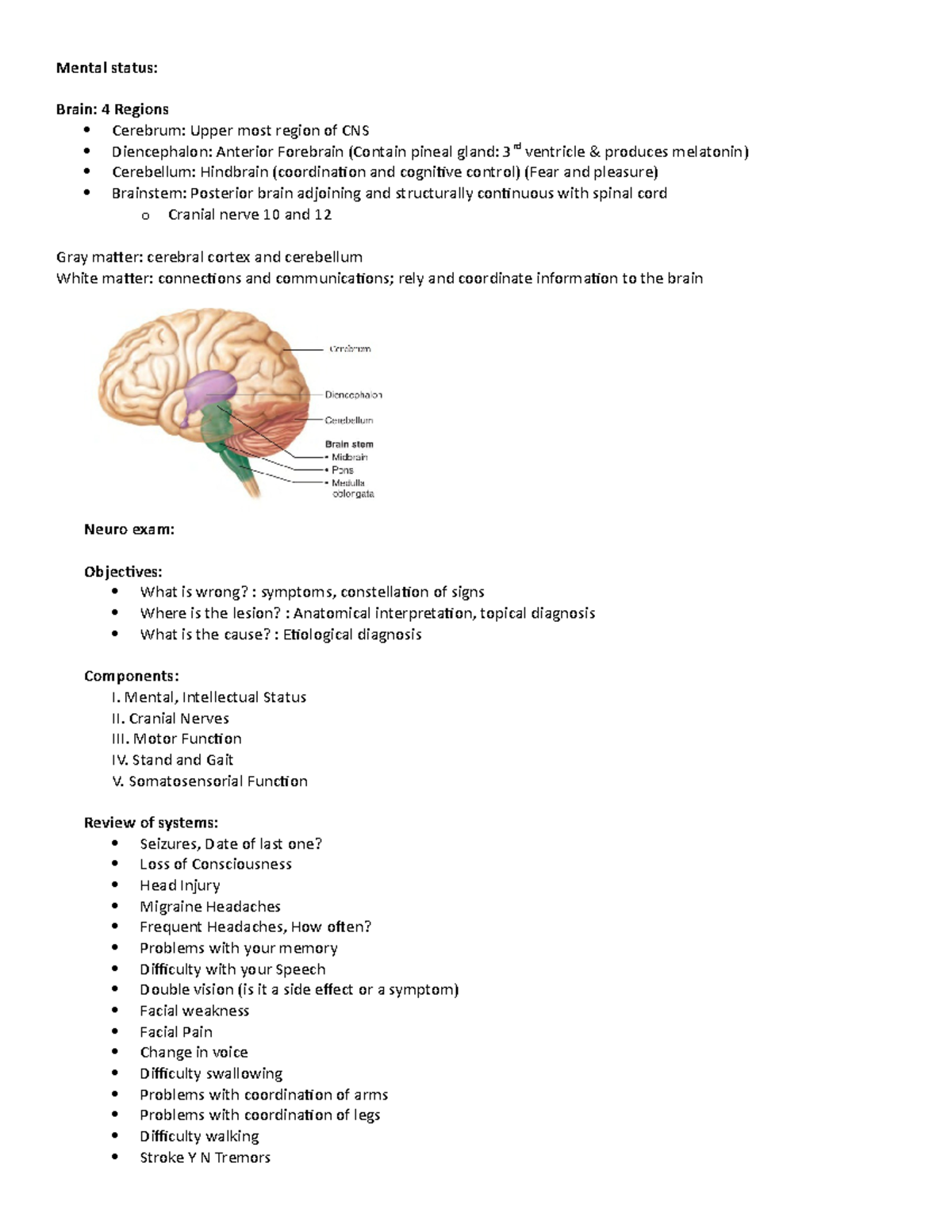 Mental status - Professor Winter - Mental status: Brain: 4 Regions ...