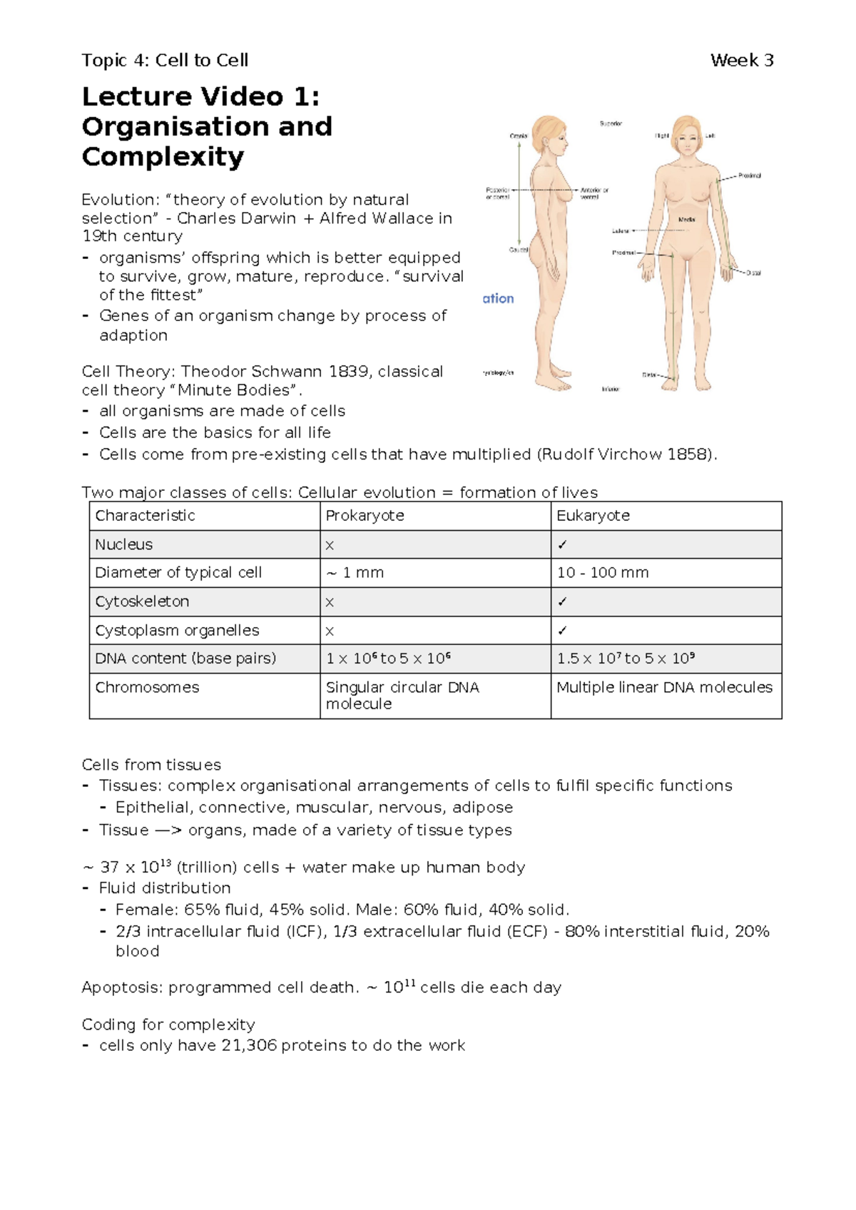Human Biology Notes - Topic 4: Cell to Cell Week 3 Lecture Video 1 ...