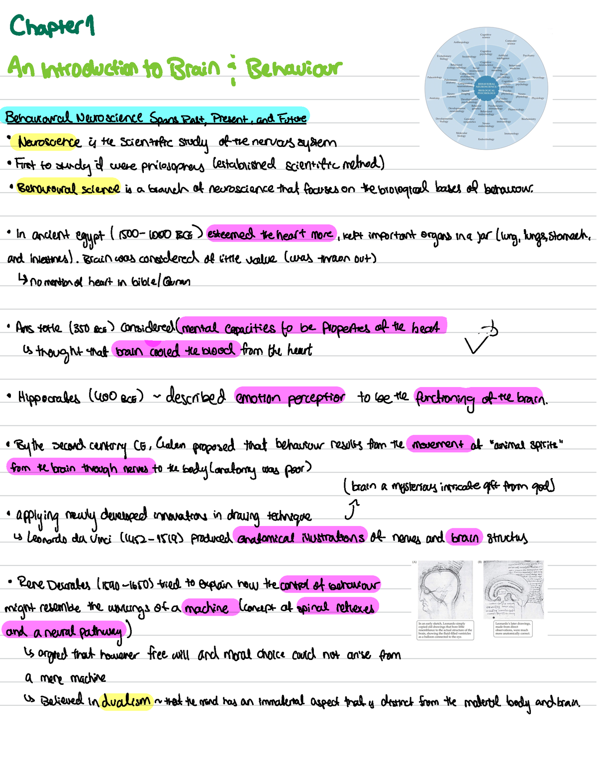 Psych Chapter 1 - Notes - Chapter 9 An Introduction To Brain I ...