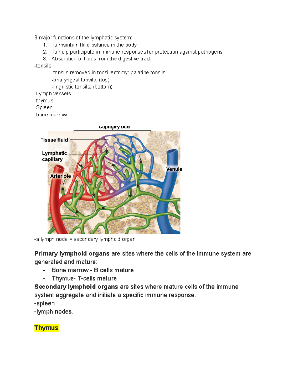 Lab 5 lymph 3 major functions of the lymphatic system 1. To maintain