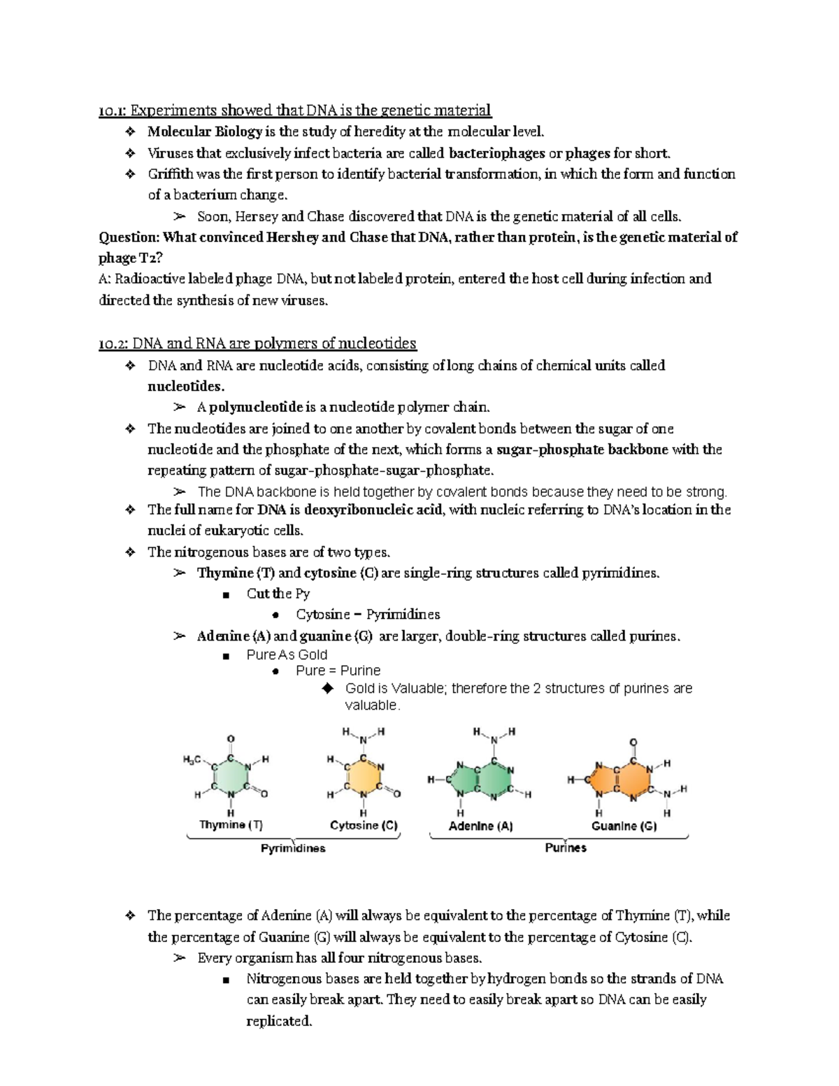Honors Biology Test - 97lxyio