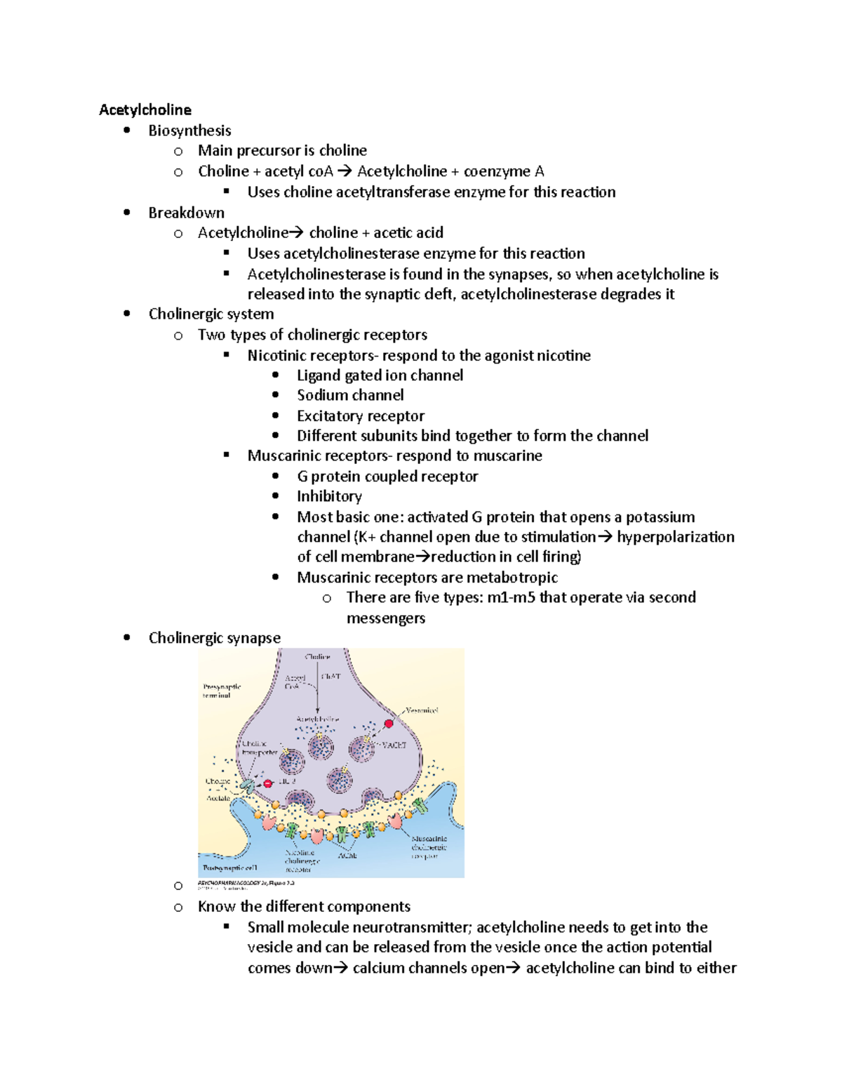 Acetylcholine - Lecture notes test 2 - Acetylcholine Biosynthesis o ...